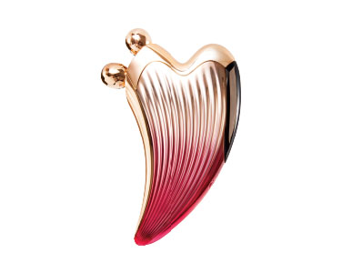 ReFa多功能波光美容儀