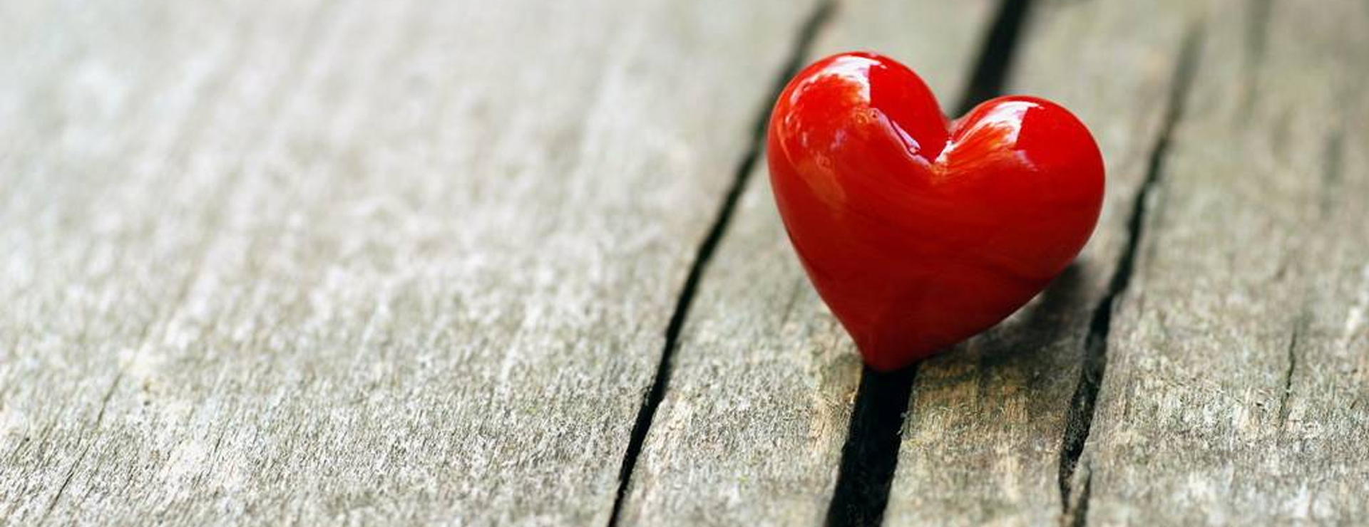 貿(mào)互動·七夕為愛發(fā)聲