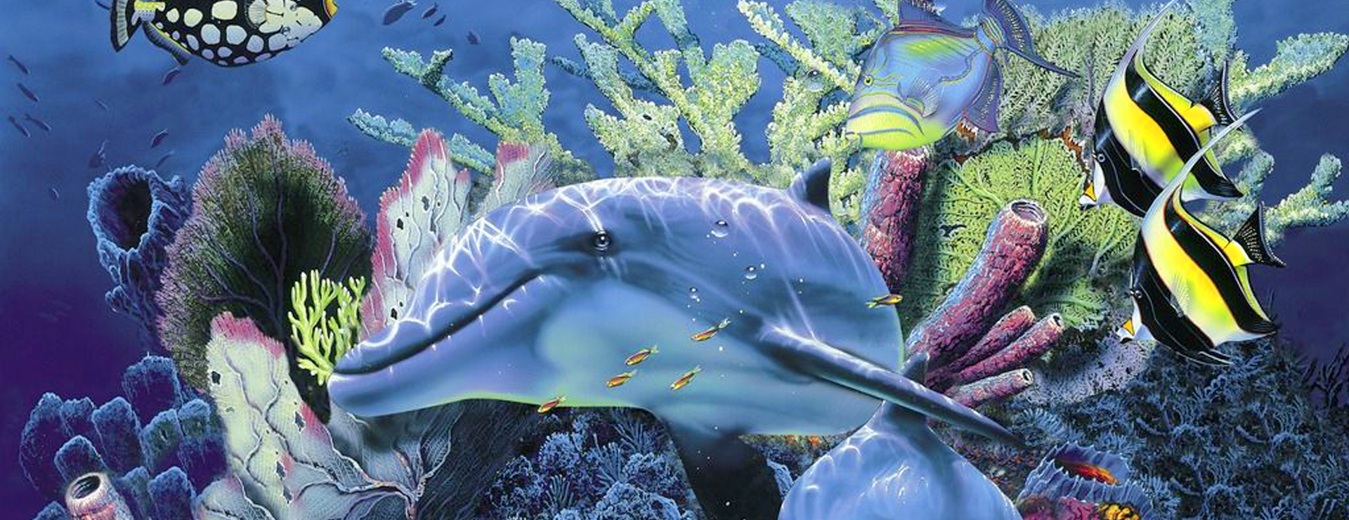 蔚藍(lán)心動(dòng) 海洋藝術(shù)  VR展