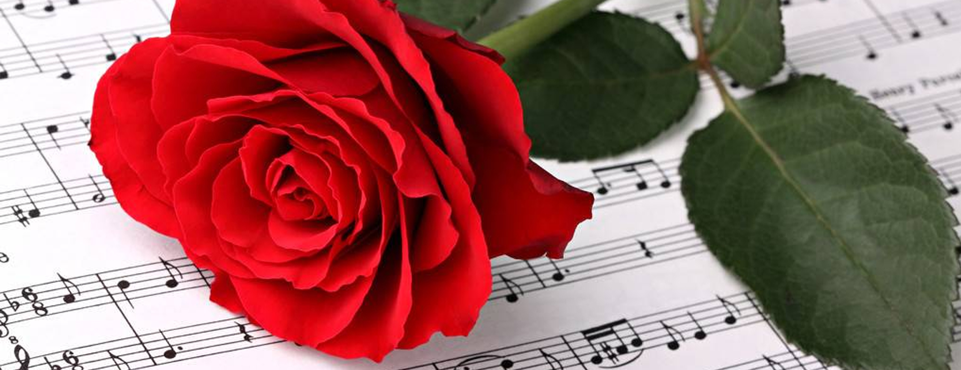 “一起趣愛”深情歌會(huì)