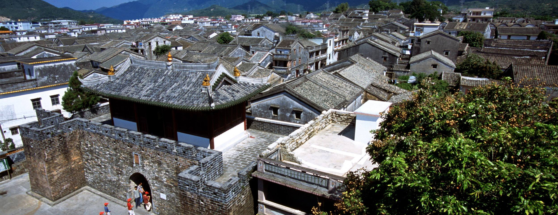 大鵬新區(qū)8月游購攻略集結(jié)~